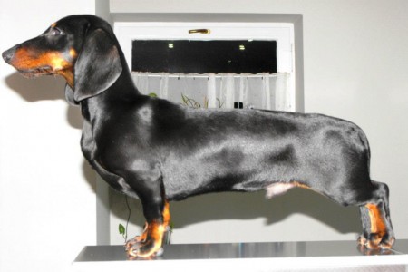 Bartha Vom House Pascal