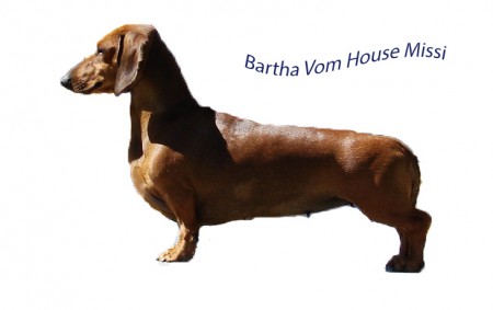 Bartha Vom House Missi