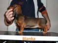 /album/kepgaleria-b-alom/blanka-jpg/